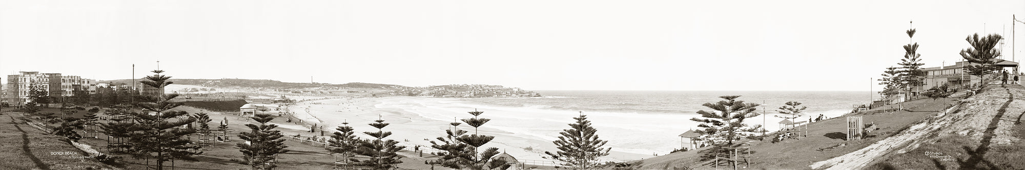 Bondi Beach Looking North, Bondi NSW Australia c.1920