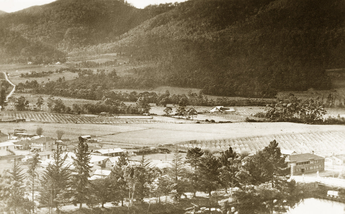 General View, Huanville TAS Australia c.1937