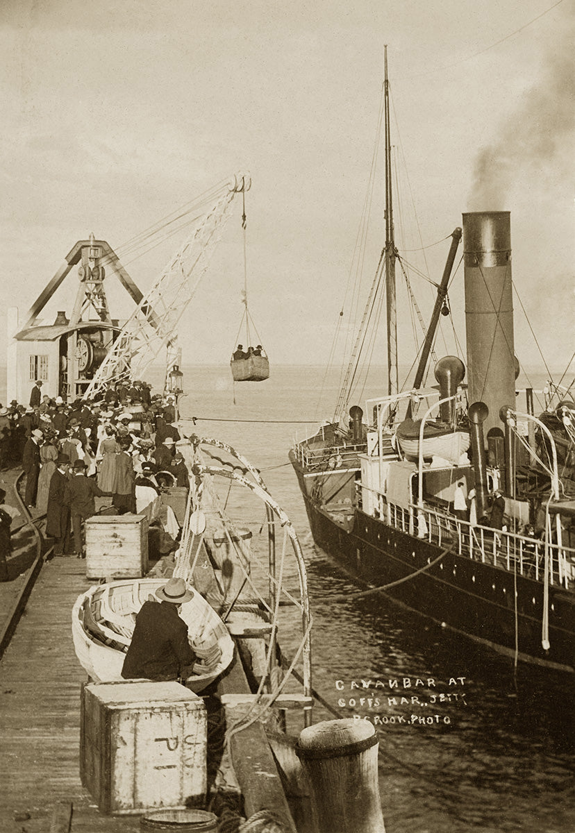 New Migrants Arrive On SS Cavanbar, Coffs Harbour NSW Australia c.1920