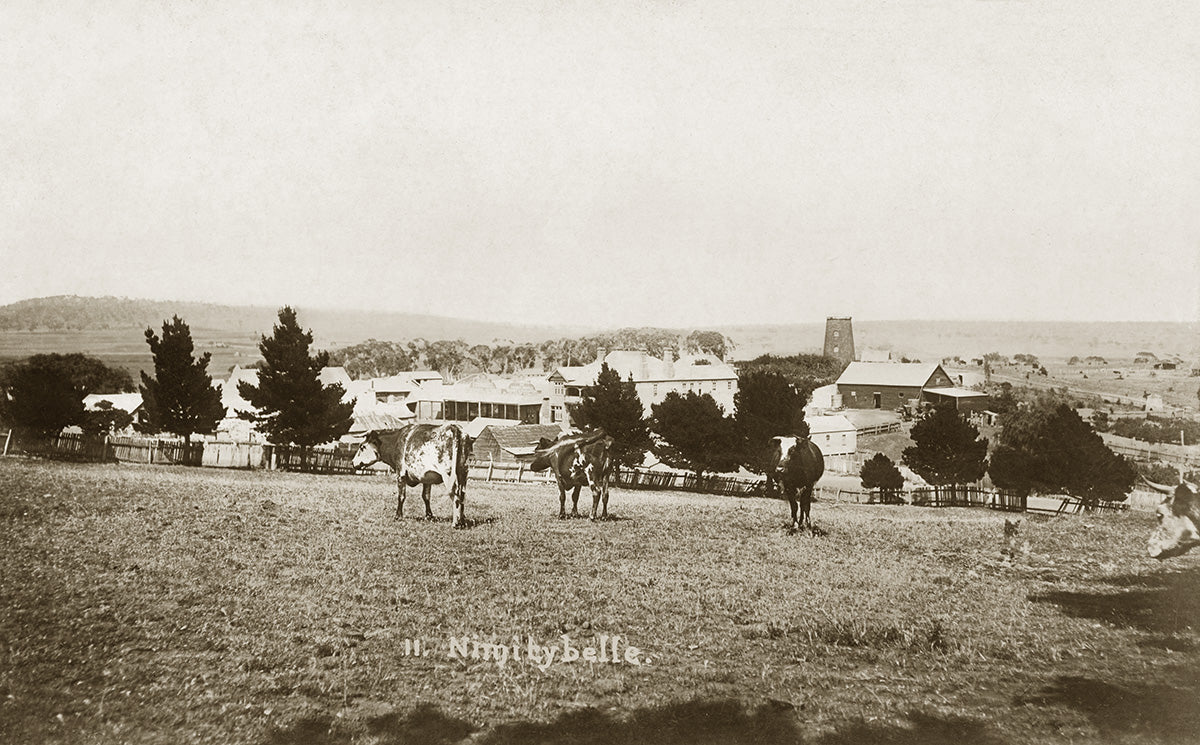 General View Of Town, Nimmitabel NSW Australia 1900s