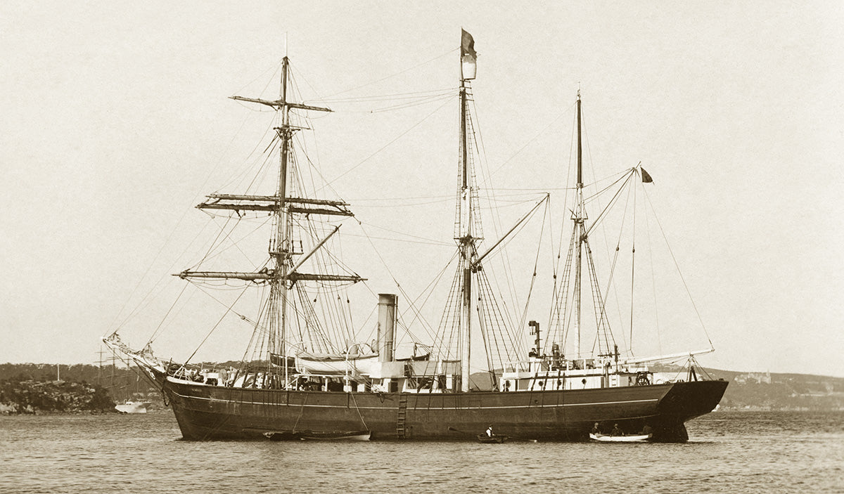 SS Nimrod On An Antarctic Expedition, Australia c.1904