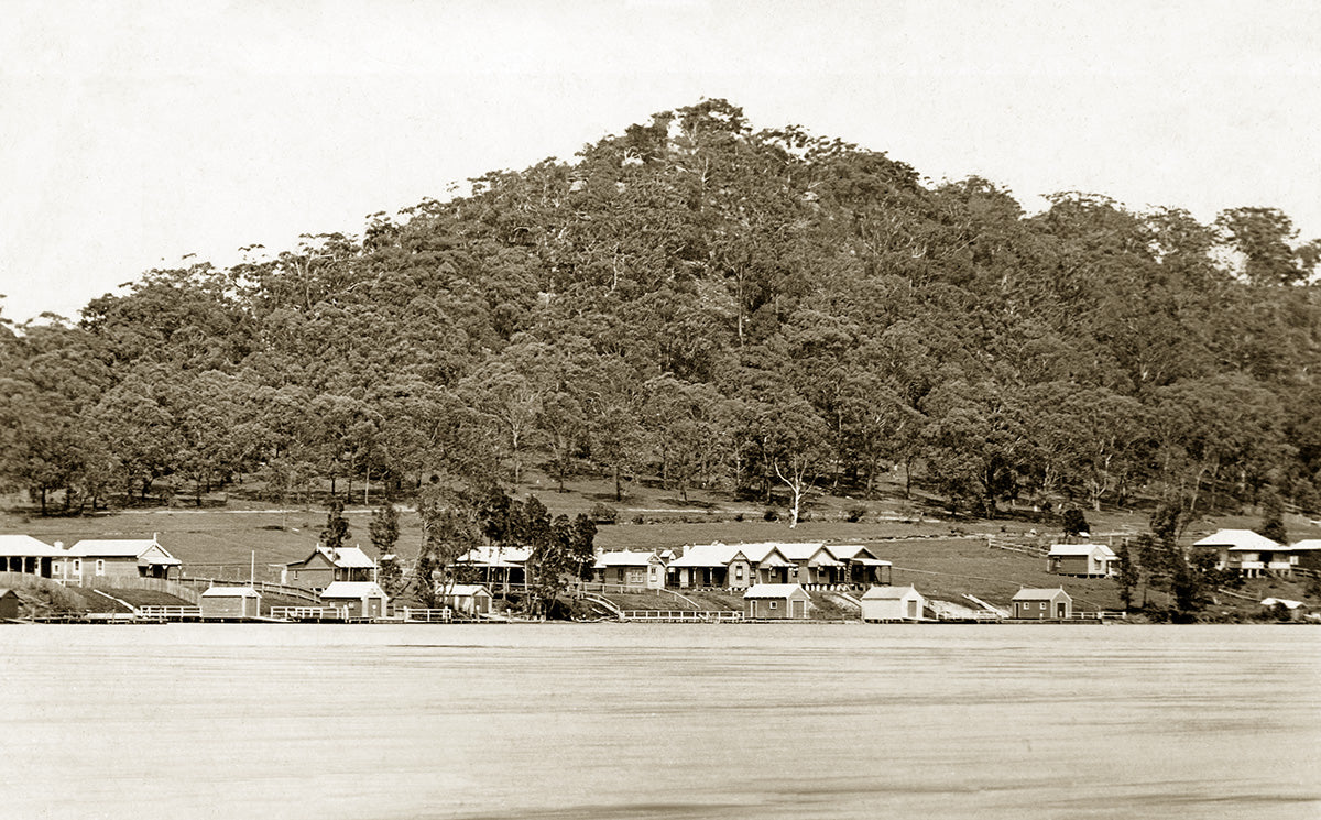 Orang Grove, Woy Woy NSW Australia 1910s