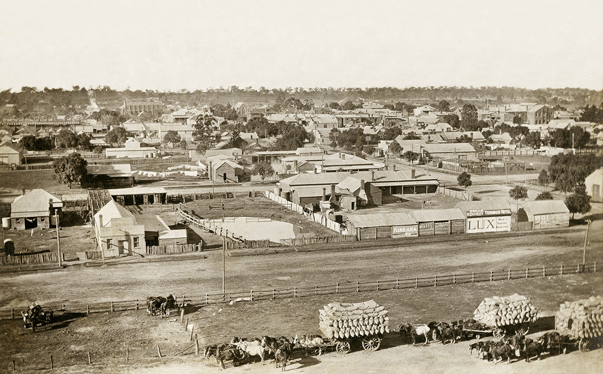 General View, Temora NSW Australia 1919