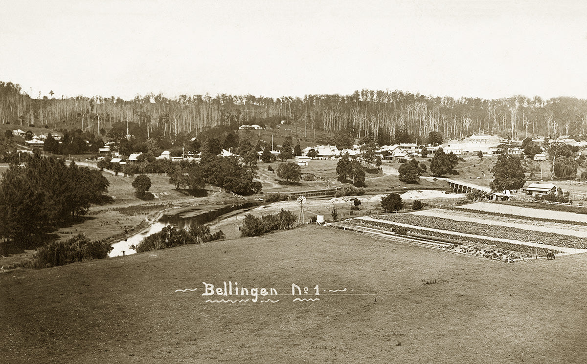 Panorama View 1 - Showing Township, Bellingen NSW Australia c.1910