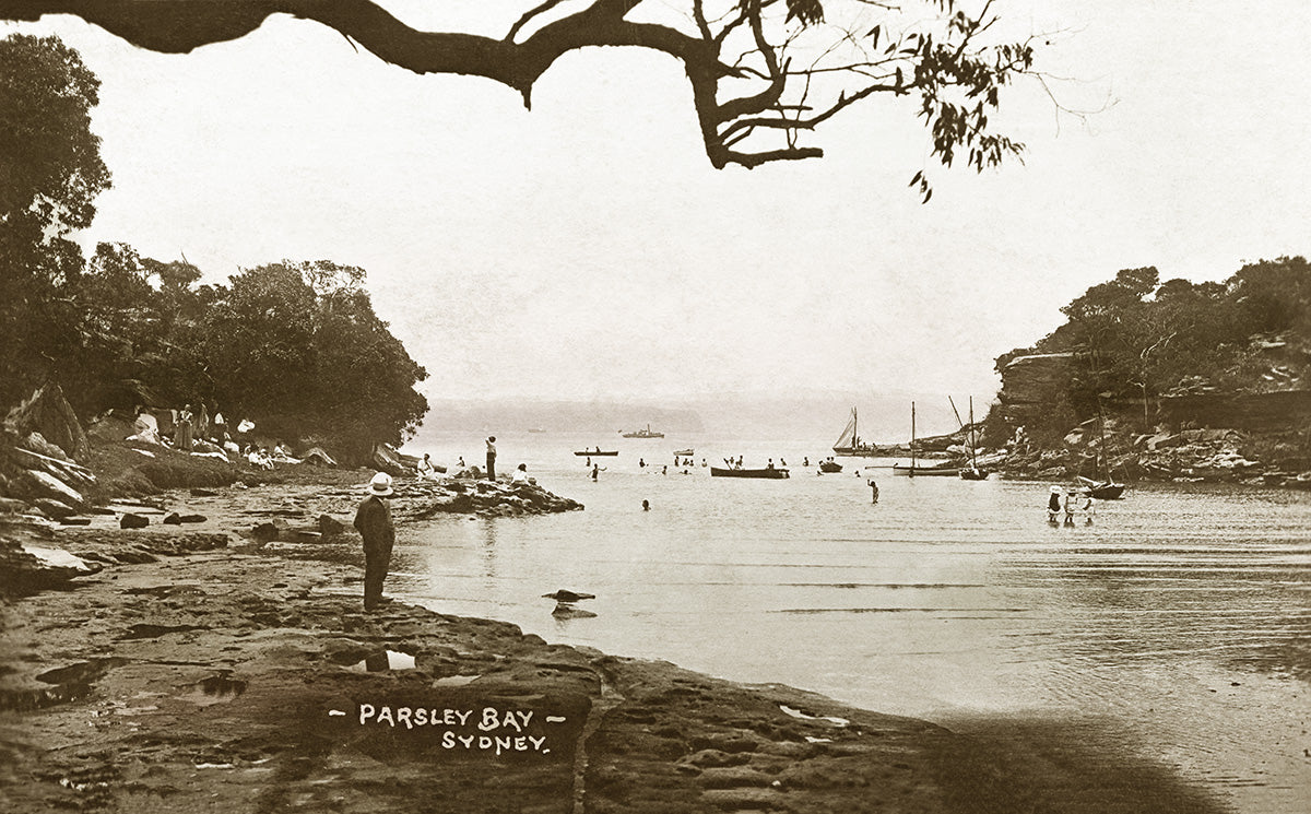 Sydney Harbour, Parsley Bay NSW Australia 1908
