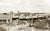 Haly Street, Kingaroy QLD Australia 1950s