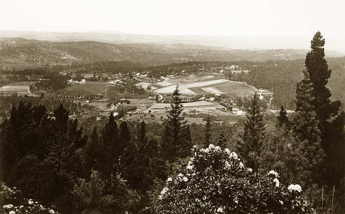 Seen From Carminow - Mt Lofty, Piccadilly SA Australia 1930s