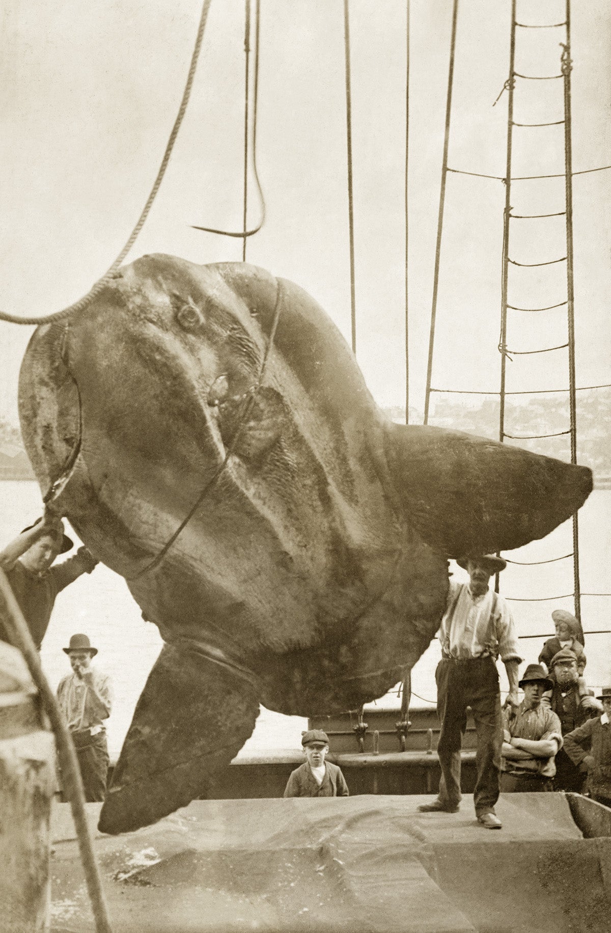 Sydney NSW Australia 1908