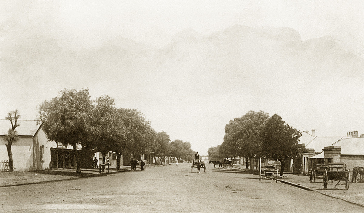 Kelly Street, Scone NSW Australia 1907