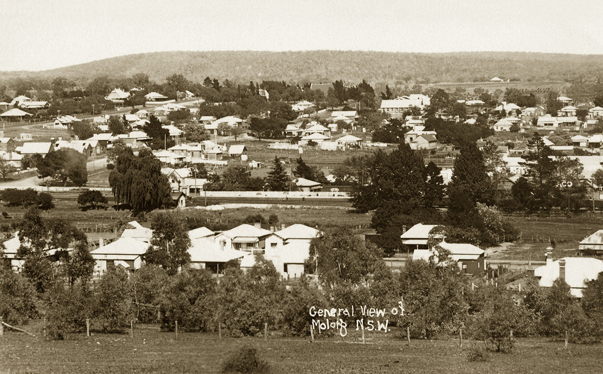 General View Of Township, Molong NSW Australia 1920s