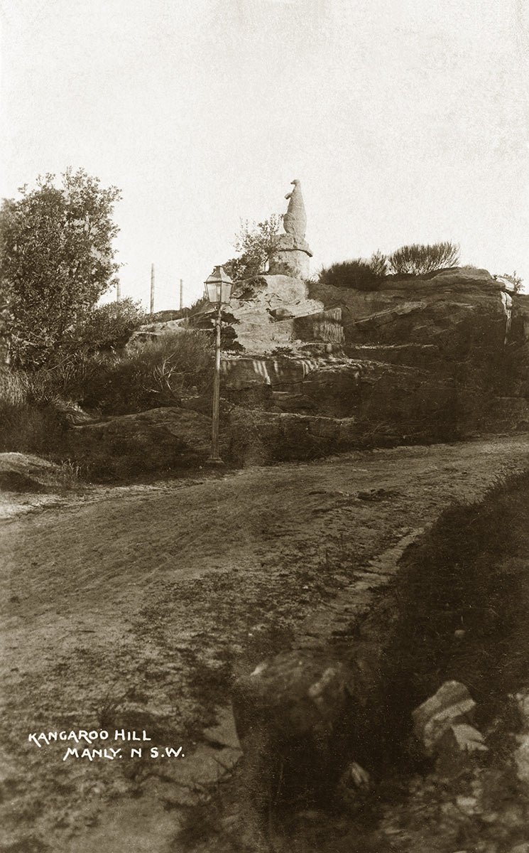 Kangaroo Hill, Manly NSW Australia 1909