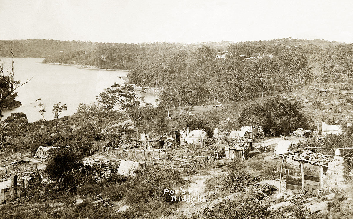 Emu Farms, Middle Harbour NSW Australia c.1905