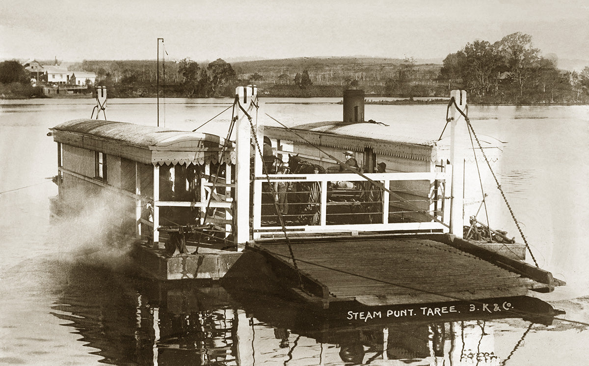 Steam Punt, Taree NSW Australia c.1905