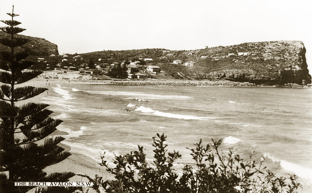 Beach And Headland, Avalon NSW Australia c.1957