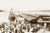 Wharf And Ferry, Manly NSW Australia c.1907