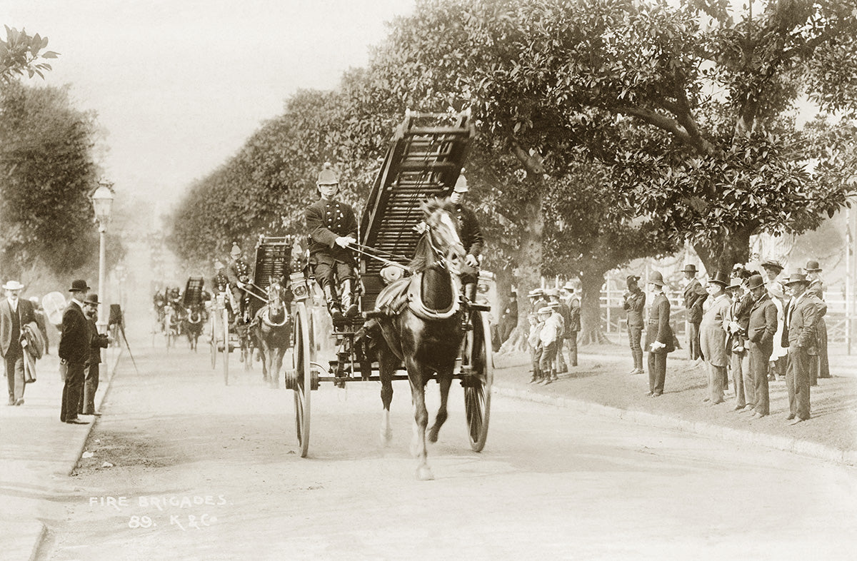 Sydney Fire Brigades In Centennial Park, Sydney NSW Australia 1908