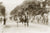 Sydney Fire Brigades In Centennial Park, Sydney NSW Australia 1908