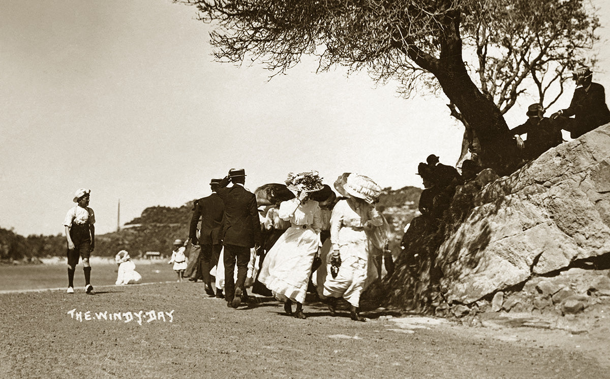 A Windy Day At Fairy Bower, Manly NSW Australia c.1909