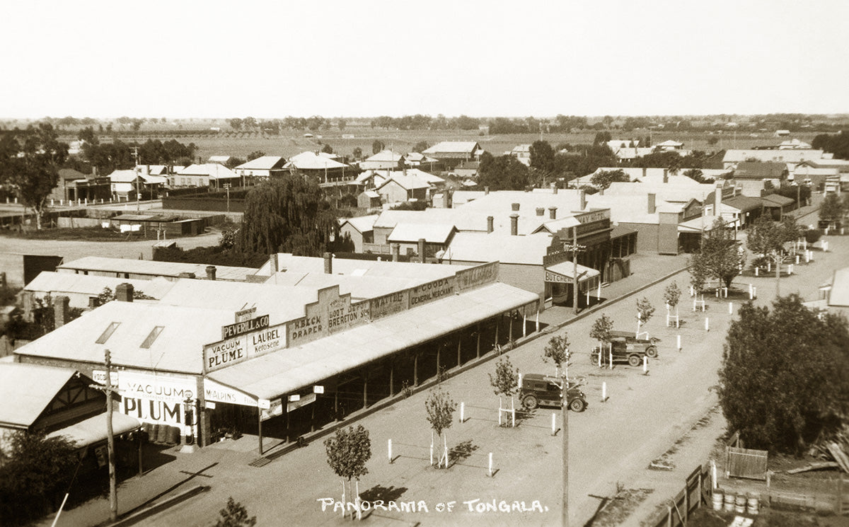 General View, Tongala VIC Australia c.1928