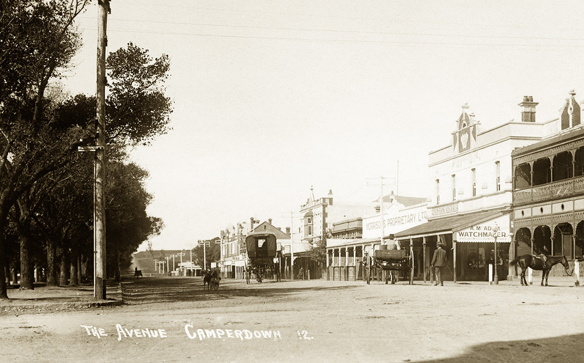 The Avenue, Camperdown VIC Australia c.1910