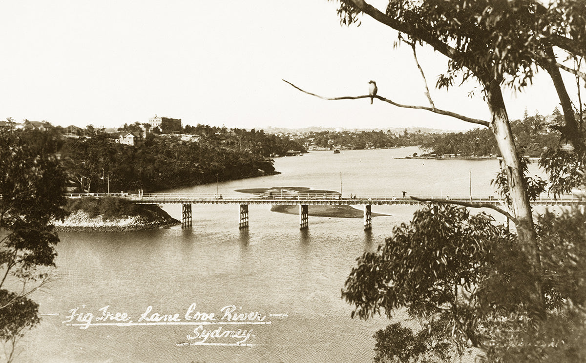 River And Fig Tree Bridge, Lane cove NSW Australia 1900s