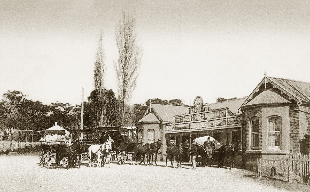 Rock Lily, Mona Vale NSW Australia c.1900