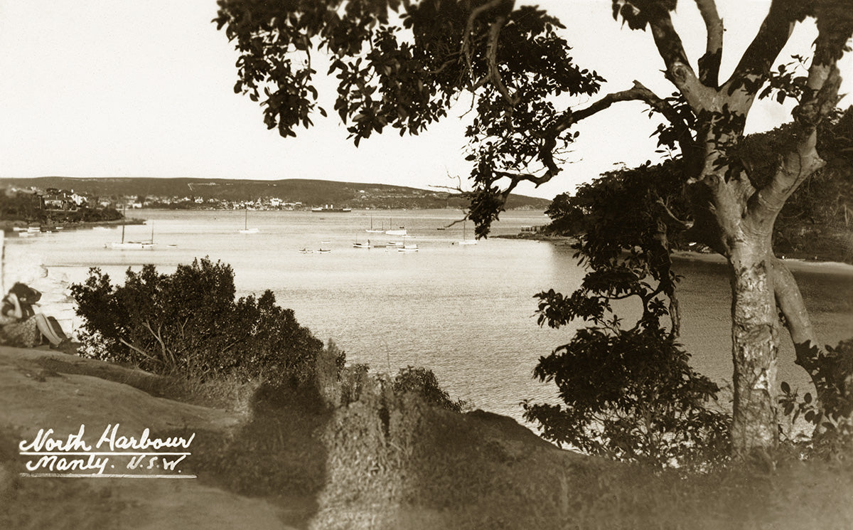 North Harbour And Forty Baskets Beach, Manly NSW Australia 1920s