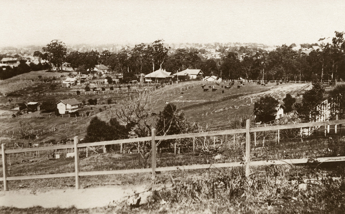 General View From Reserve, Pymble NSW Australia c.1922