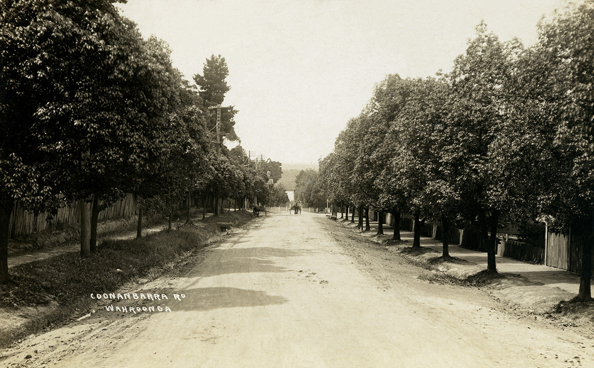 Coonanbarra Road, Wahroonga NSW Australia c.1900