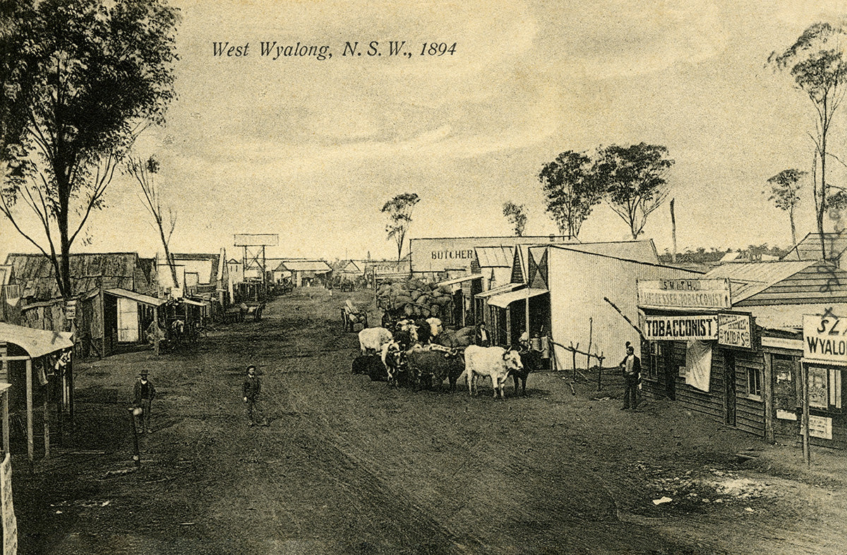 Main Street, West Wyalong NSW Australia 1894