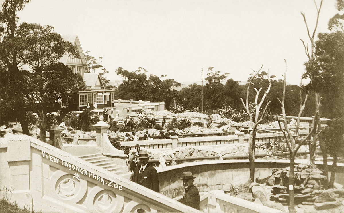 Taronga Park Zoo, Mosman NSW Australia c.1905
