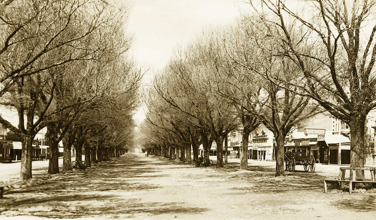 Elam Avenue And Manifold Street, Camperdown VIC Australia 1920s