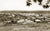 General View Looking South West, Cessnock NSW Australia 1930s