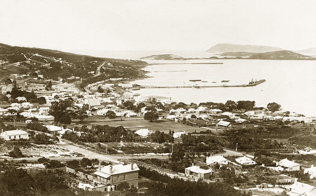 Panorama Of Town, Albury NSW Australia 1906