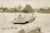 Ferry On Williams River, Seaham NSW Australia 1907