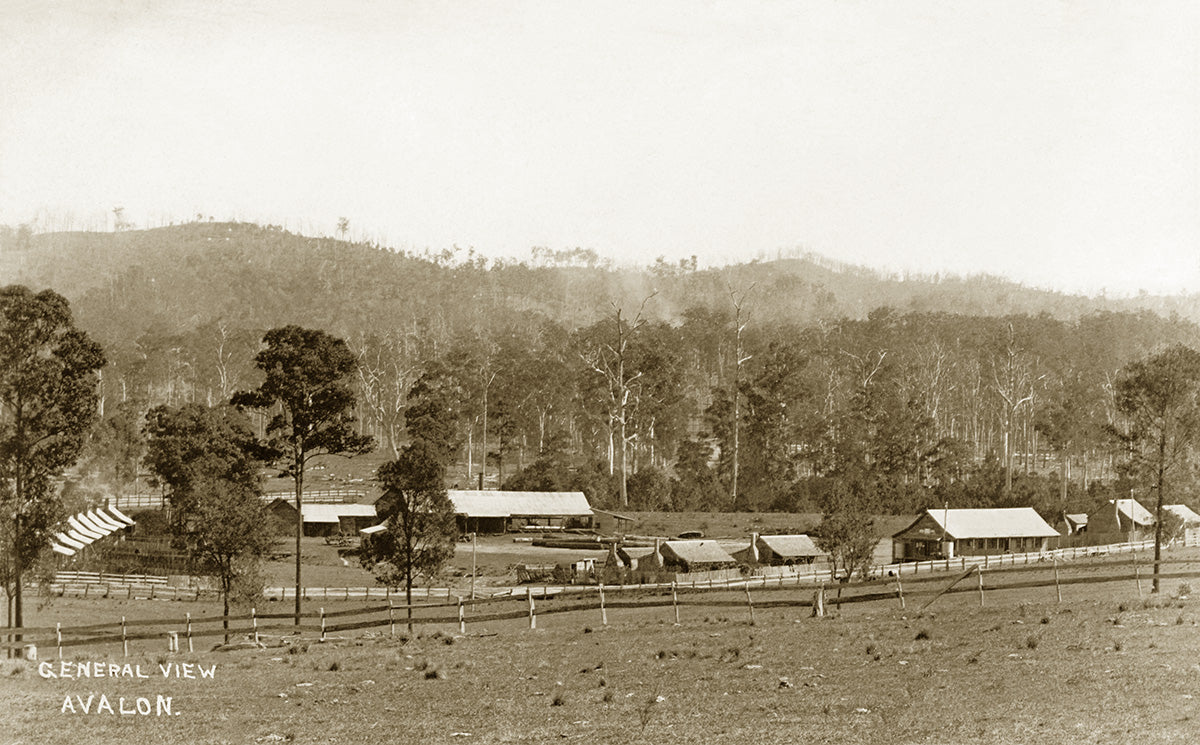 Sawmill, Avalon NSW Australia 1907