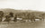Sawmill, Avalon NSW Australia 1907