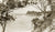 Looking Towards Shorncliffe, Sandgate QLD Australia 1930s