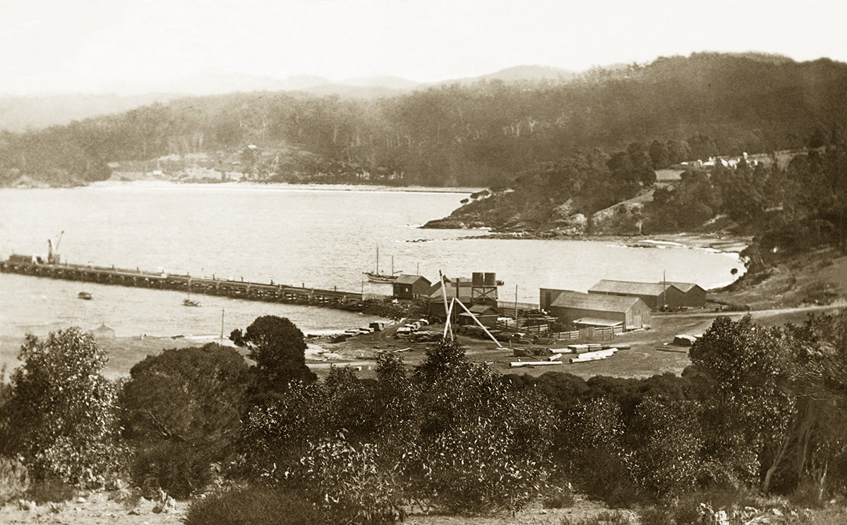 Looking South From Corner Of Pittwater Road And Waterloo Road, Narrabeen NSW Australia c.1900