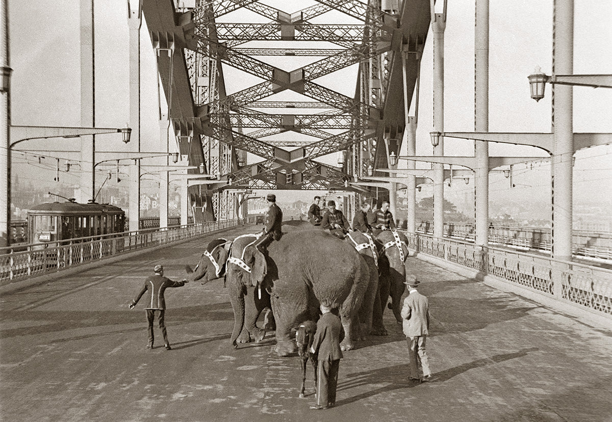 Sydney Harbour Bridge - Elephants Crossing, Sydney NSW Australia 1932