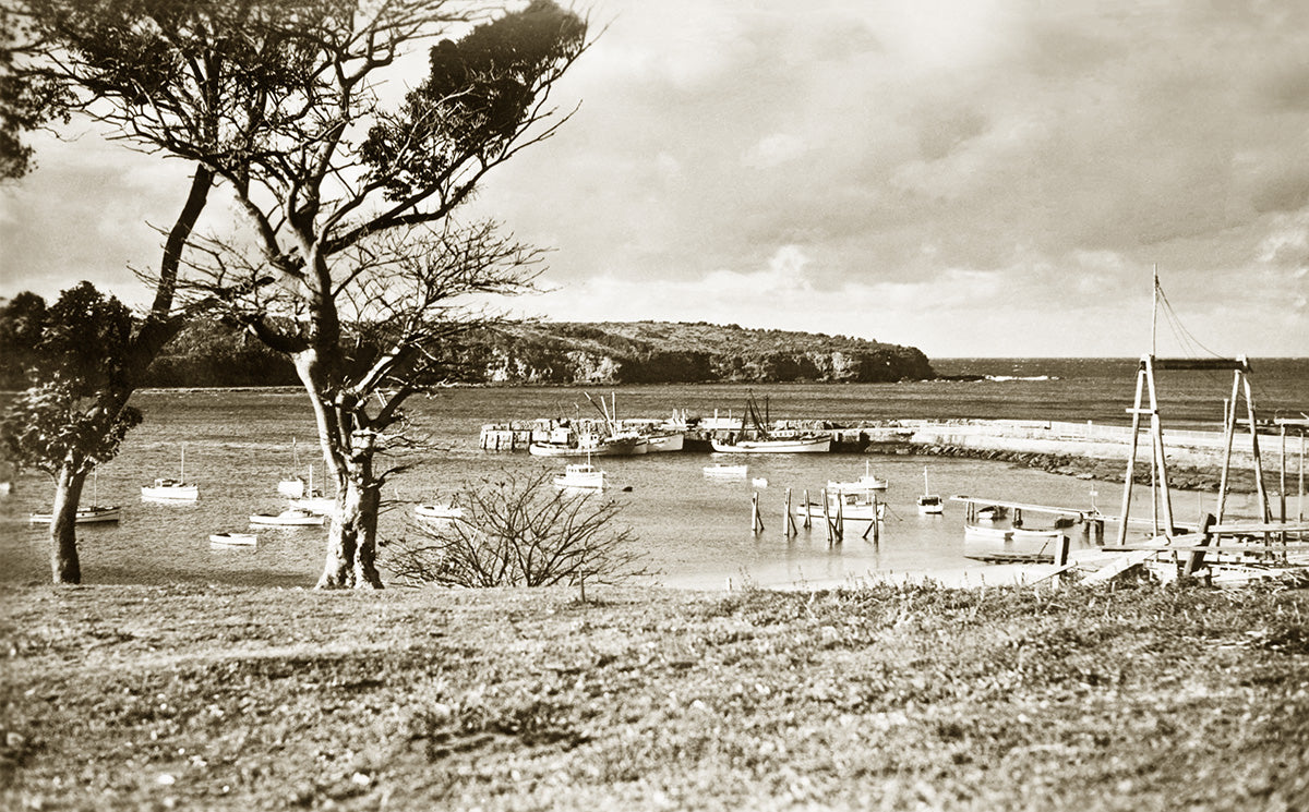 The Anchorage, Ulladulla NSW Australia c.1950