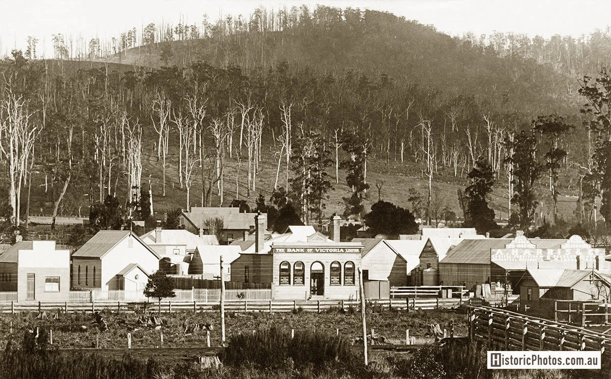 View Of Town, Hill End NSW Australia 1900s