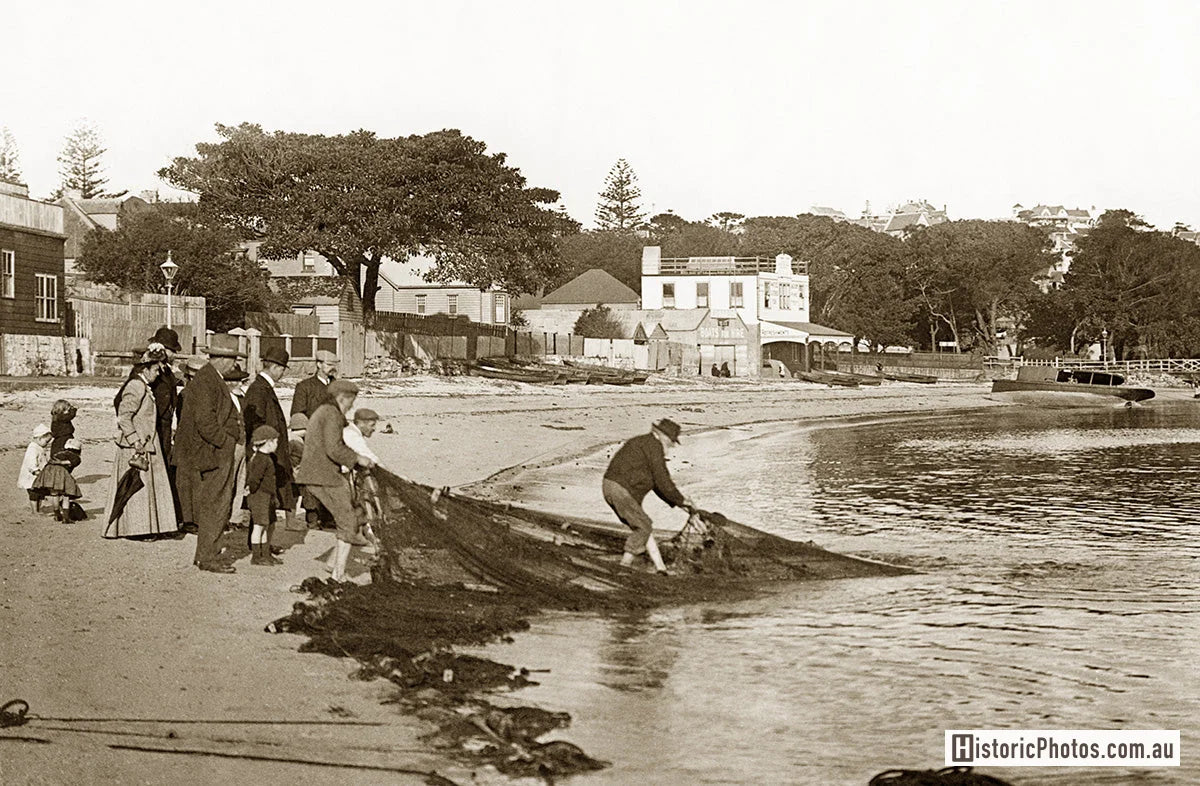 Fisherman Hauling In Watsons Bay, Watson Bay NSW Australia c.1900