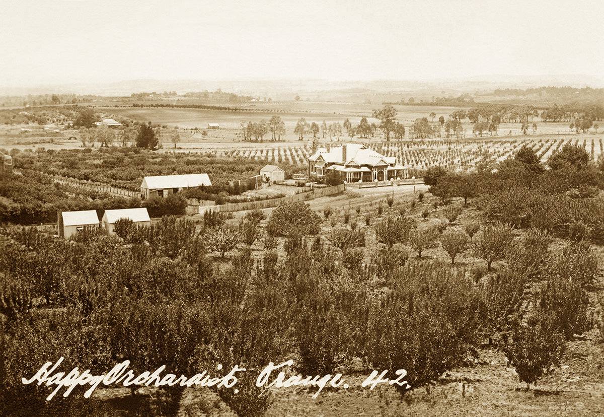 Happy Orchardist, Orange NSW Australia c.1920