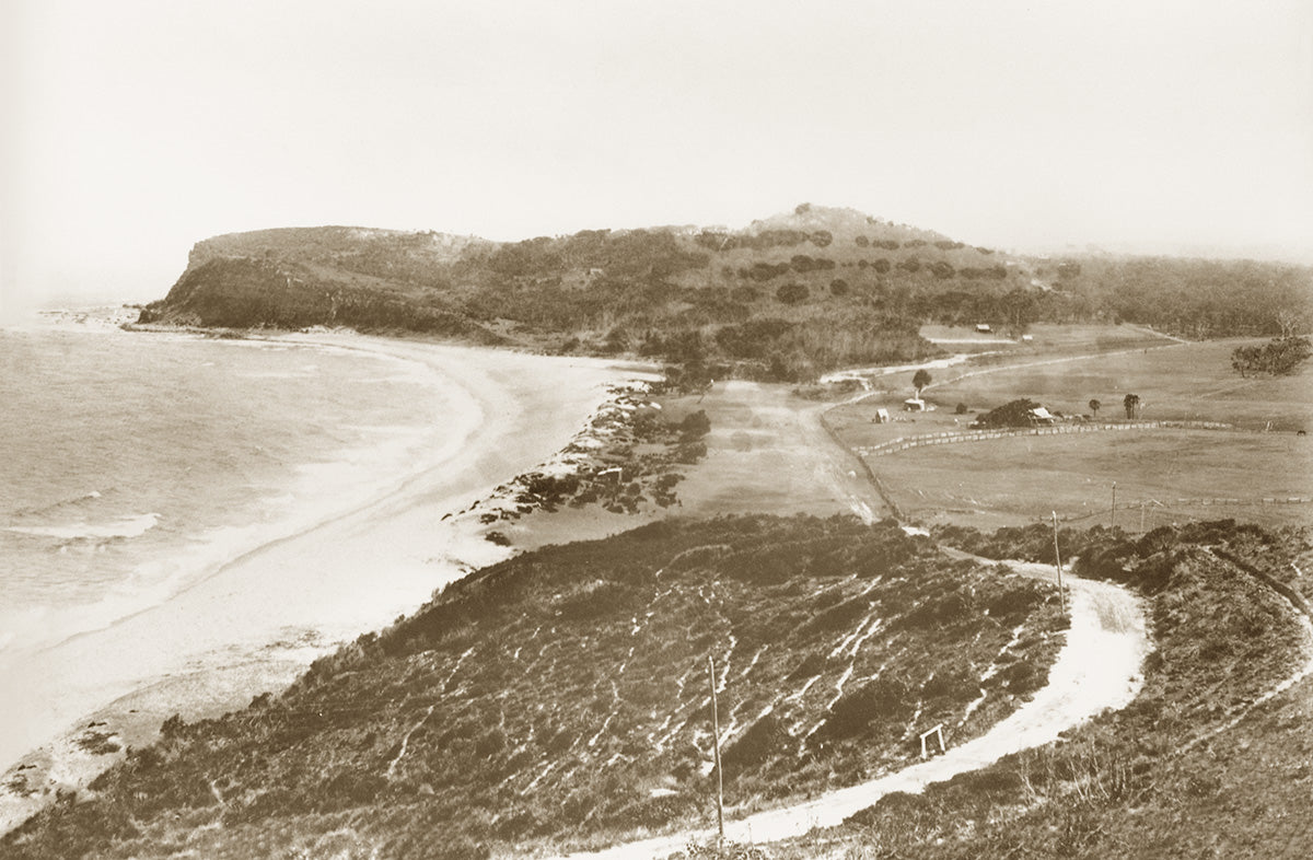 Beach - Looking South, Newport NSW Australia 1900s