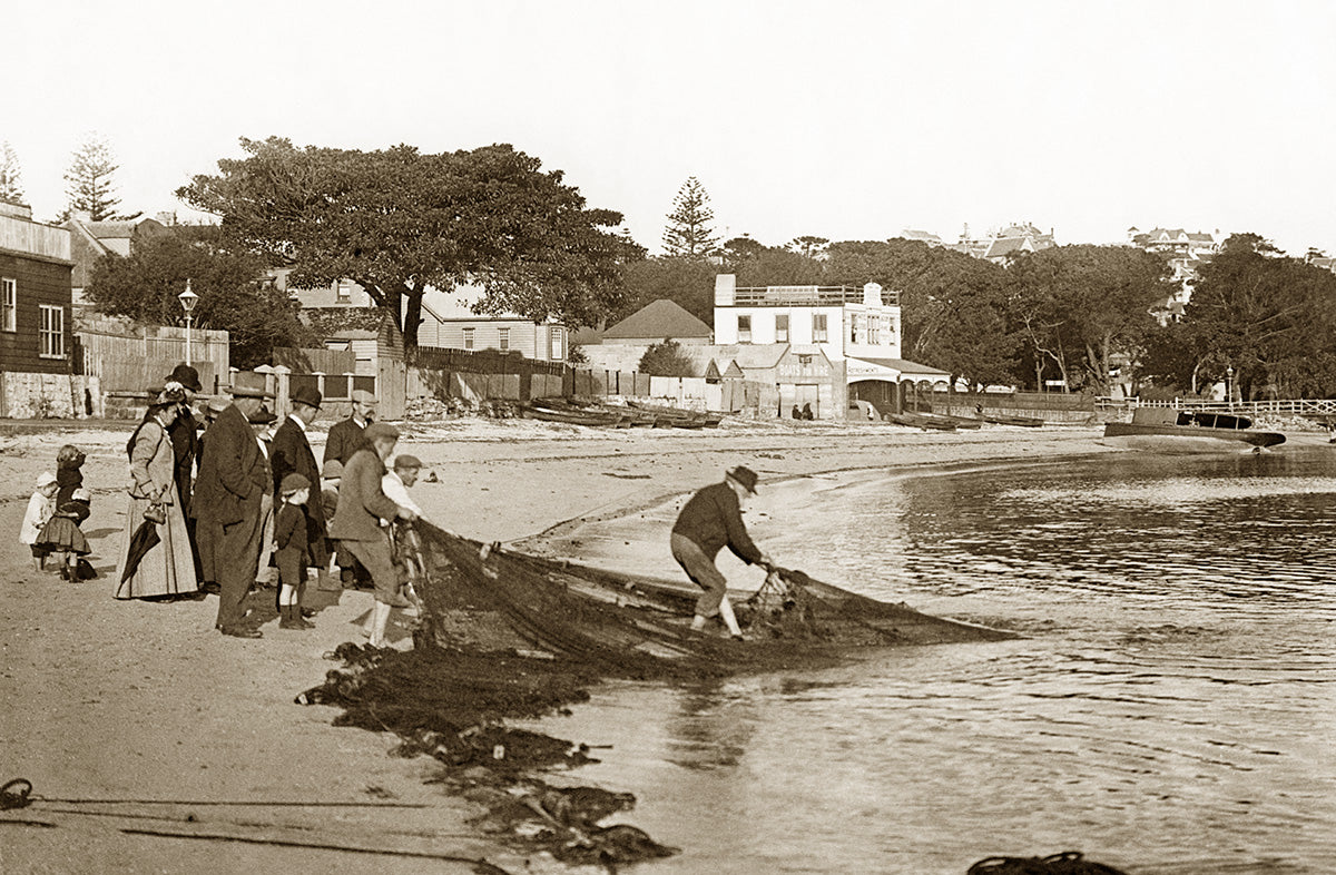 Fisherman Hauling In Watsons Bay, Watson Bay NSW Australia c.1900