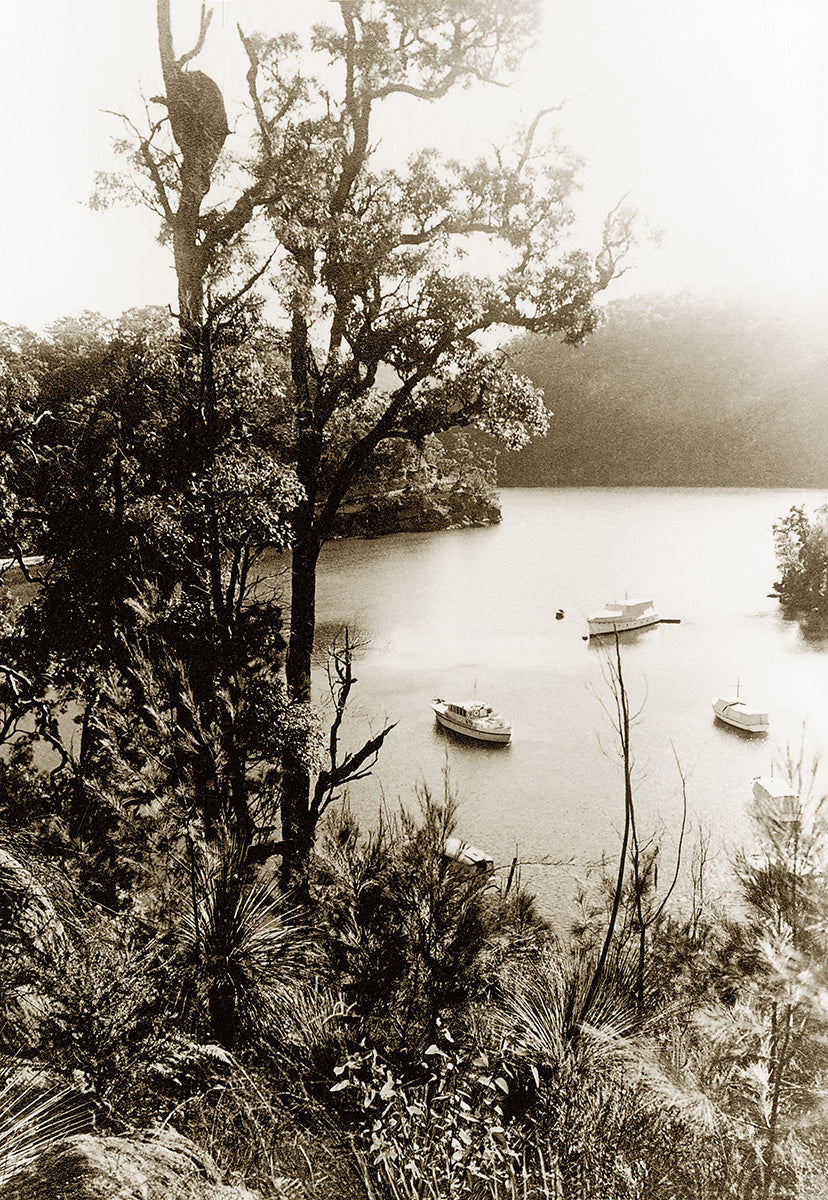 View From Above Boat Shed, Cowan Water NSW Australia 1920s