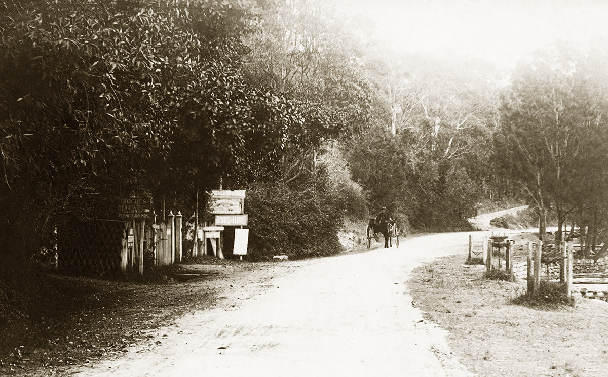 Pittwater Road, Bayview NSW Australia 1900s
