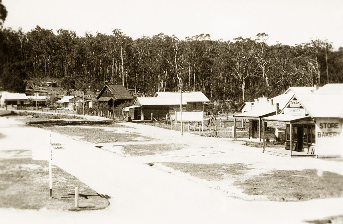 Princes Highway Passing Through Township, Cann River VIC Australia 1930s