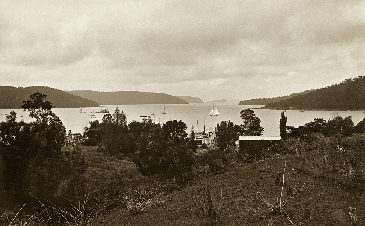Pittwater Regatta Seen From Bayview, Pittwater NSW Australia c.1907